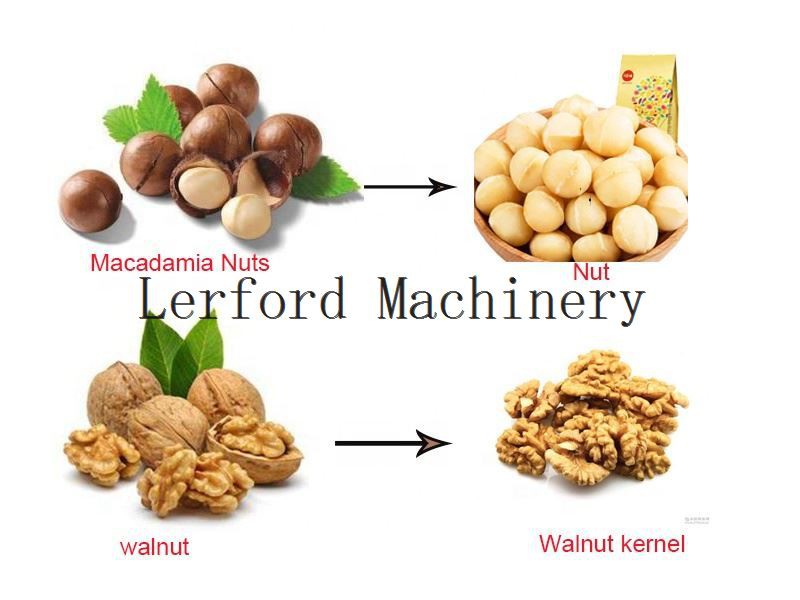 Macadamia Nuts Cracking 