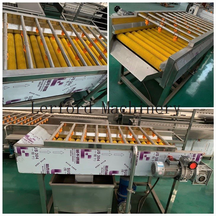 fruit and vegetable washing machine