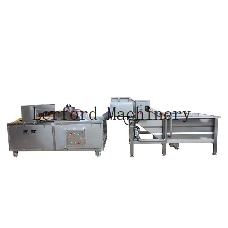 fruit processing line