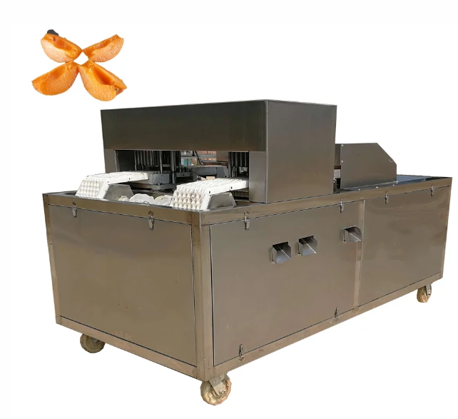 Apricot Pitting Machine Apricot Pitting Machine